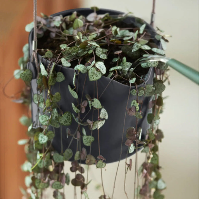 Elho Swing Stackable Hanging Pot - 100% Recycled - 18cm Charcoal