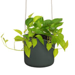 Elho Swing Stackable Hanging Pot - 100% Recycled - 18cm Greenstone