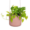 Elho Swing Stackable Hanging Pot - 100% Recycled - 18cm Watermelon Rose