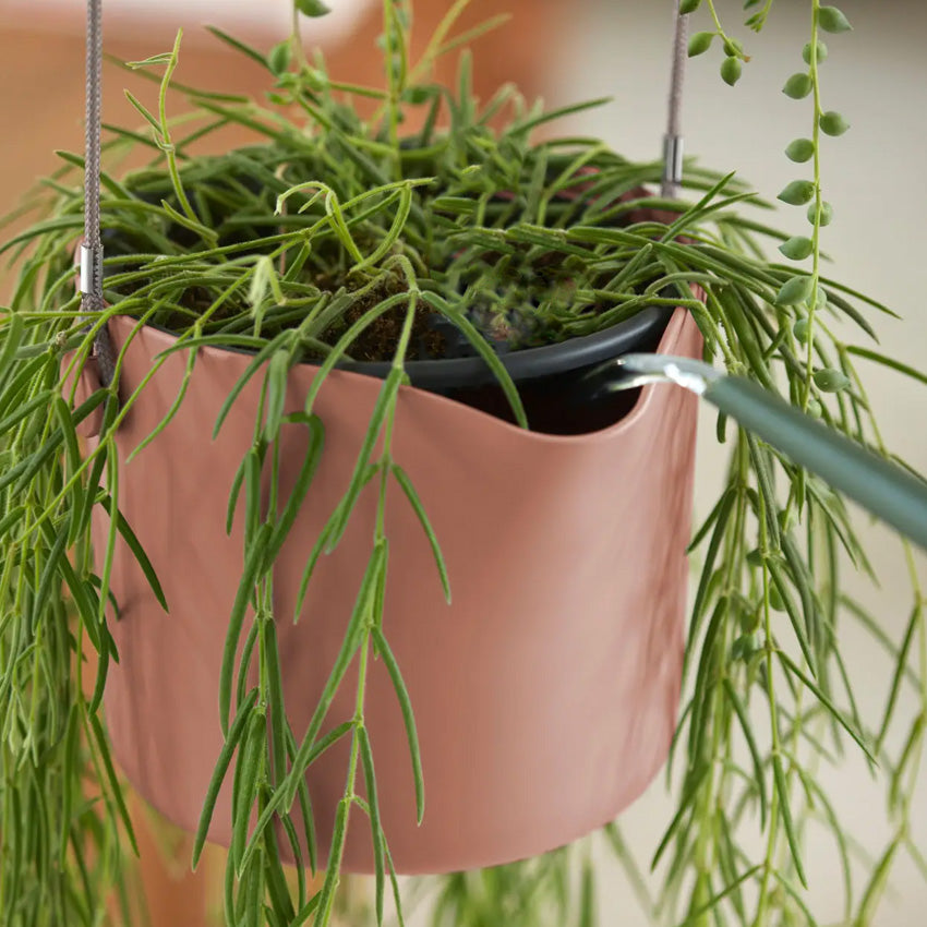 Elho Swing Stackable Hanging Pot - 100% Recycled - 18cm Watermelon Rose