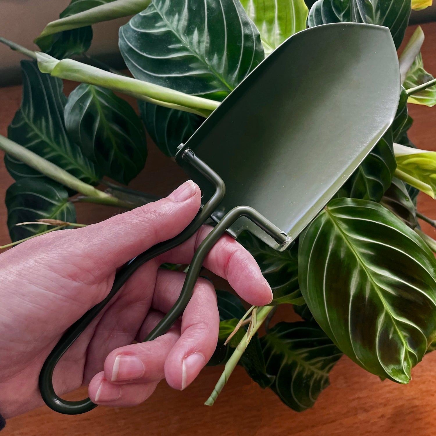 Foldable Mini Stainless Steel Indoor Plant Shovel with pouch