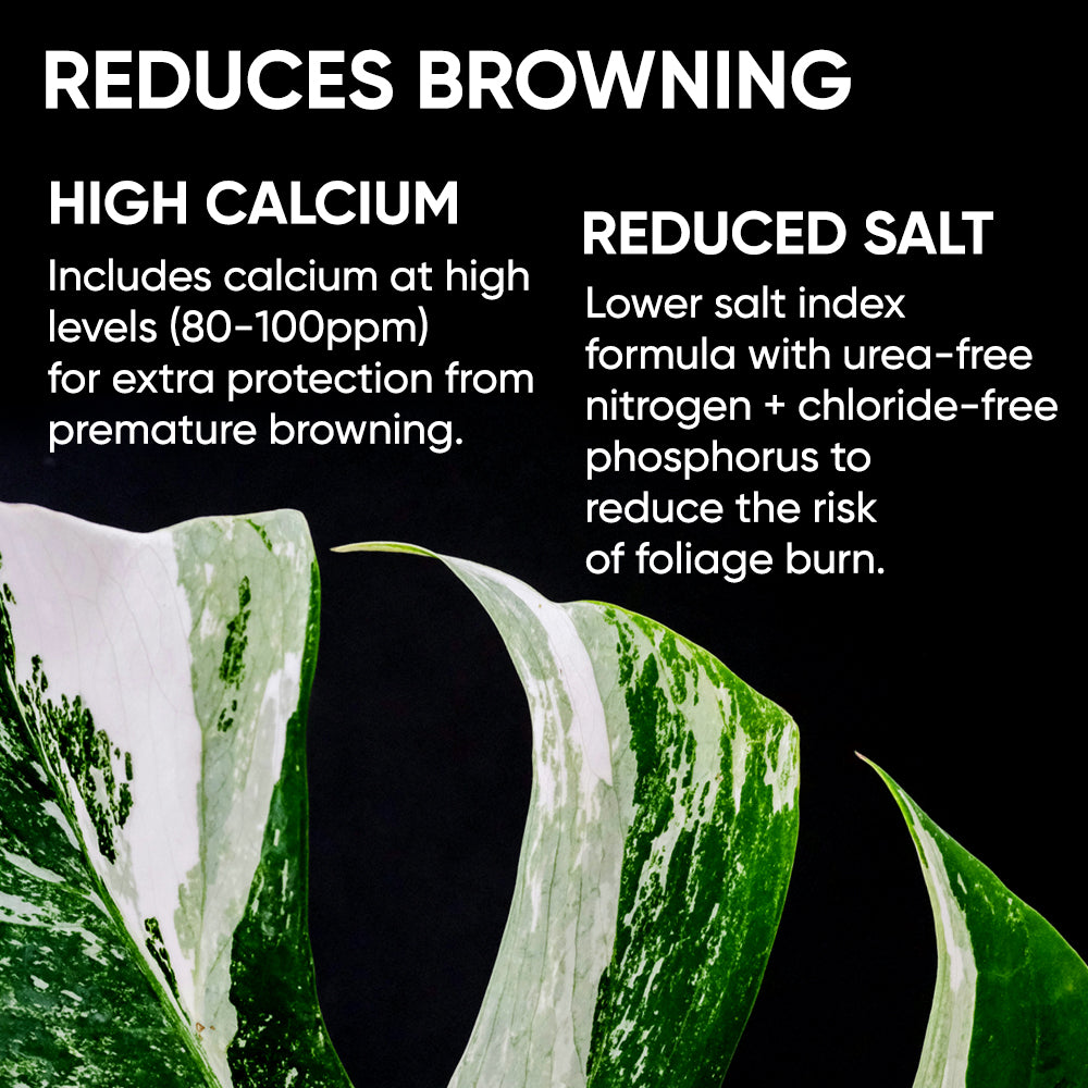 reduces-browning-leaves-variegated-plants-growth-technology