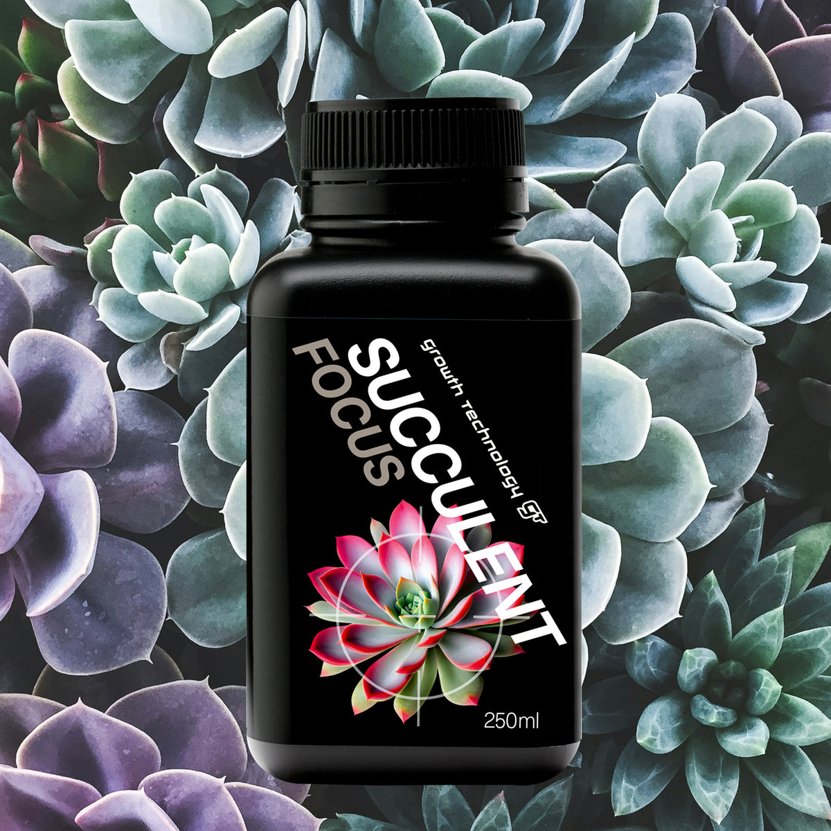 cactus and succulent focus Growth Technology SUCCULENT Focus