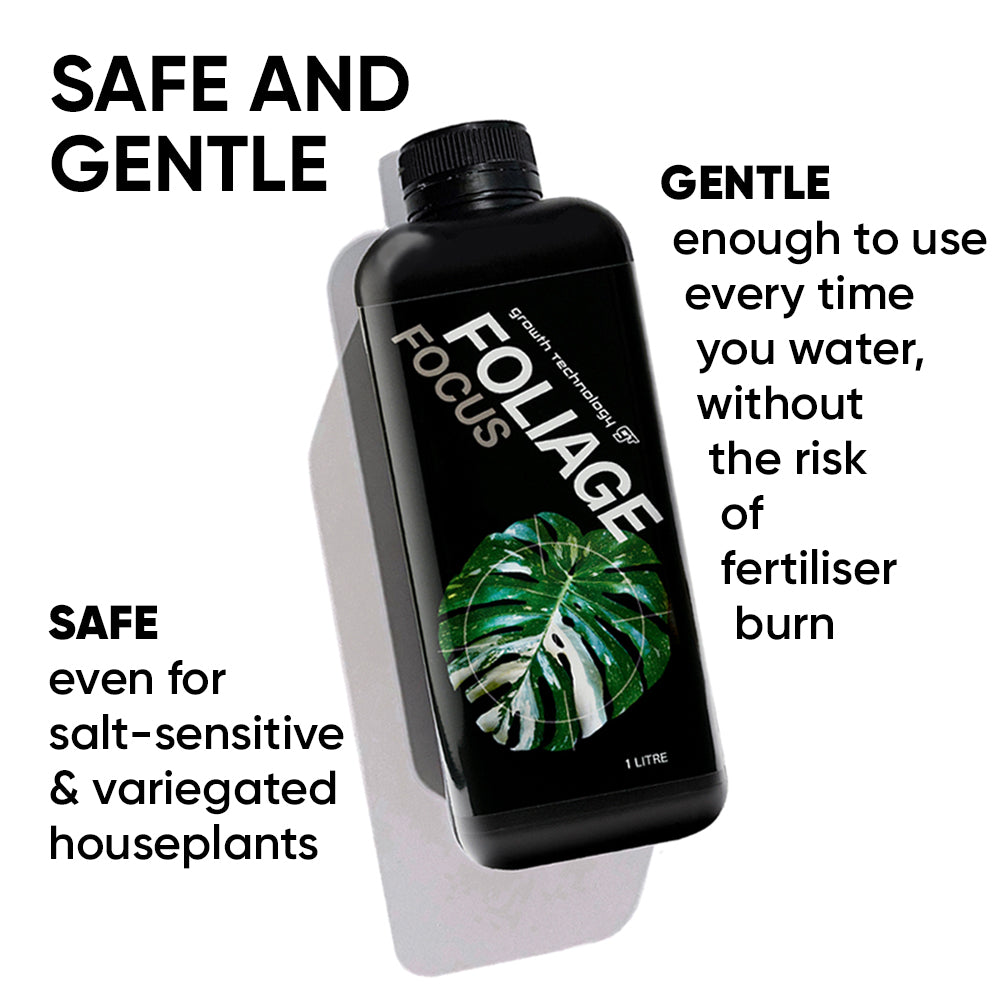 gt-foliage-focus-1-litre-benefits-safe-gentle
