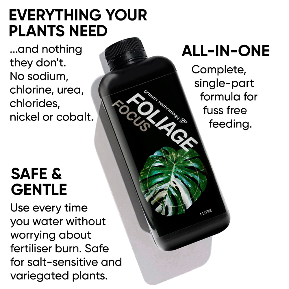 gt focus on foliage plant fertilizer Growth Technology FOLIAGE Focus