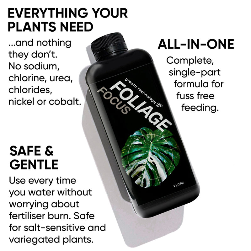 gt-foliage-focus-bottle-indoor-plant-benefits