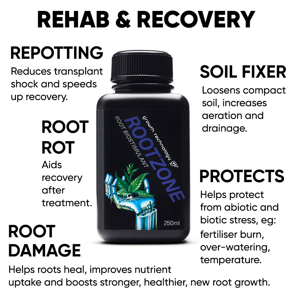 root-rehab-recovery-repotting-rot-soil-damage-gt-rootzone