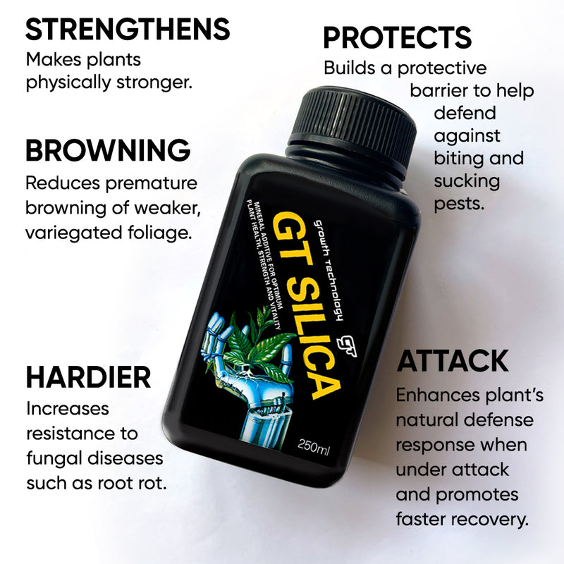 benefits-silica-plants