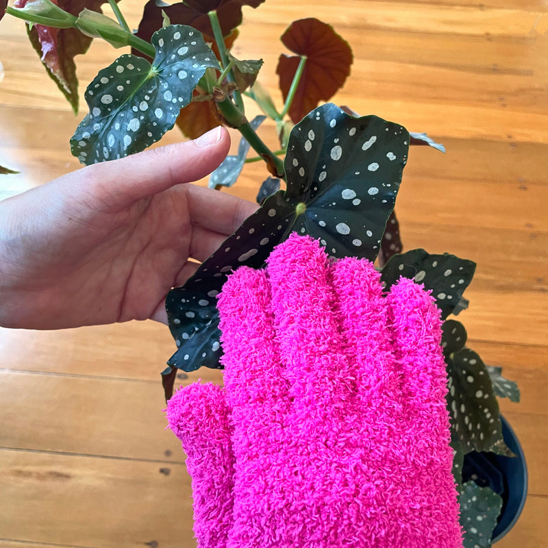 microfibre-plant-leaf-cleaning-dusting-glove
