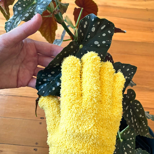 crew-leaf-plant-microfibre-dusting-cleaning-glove