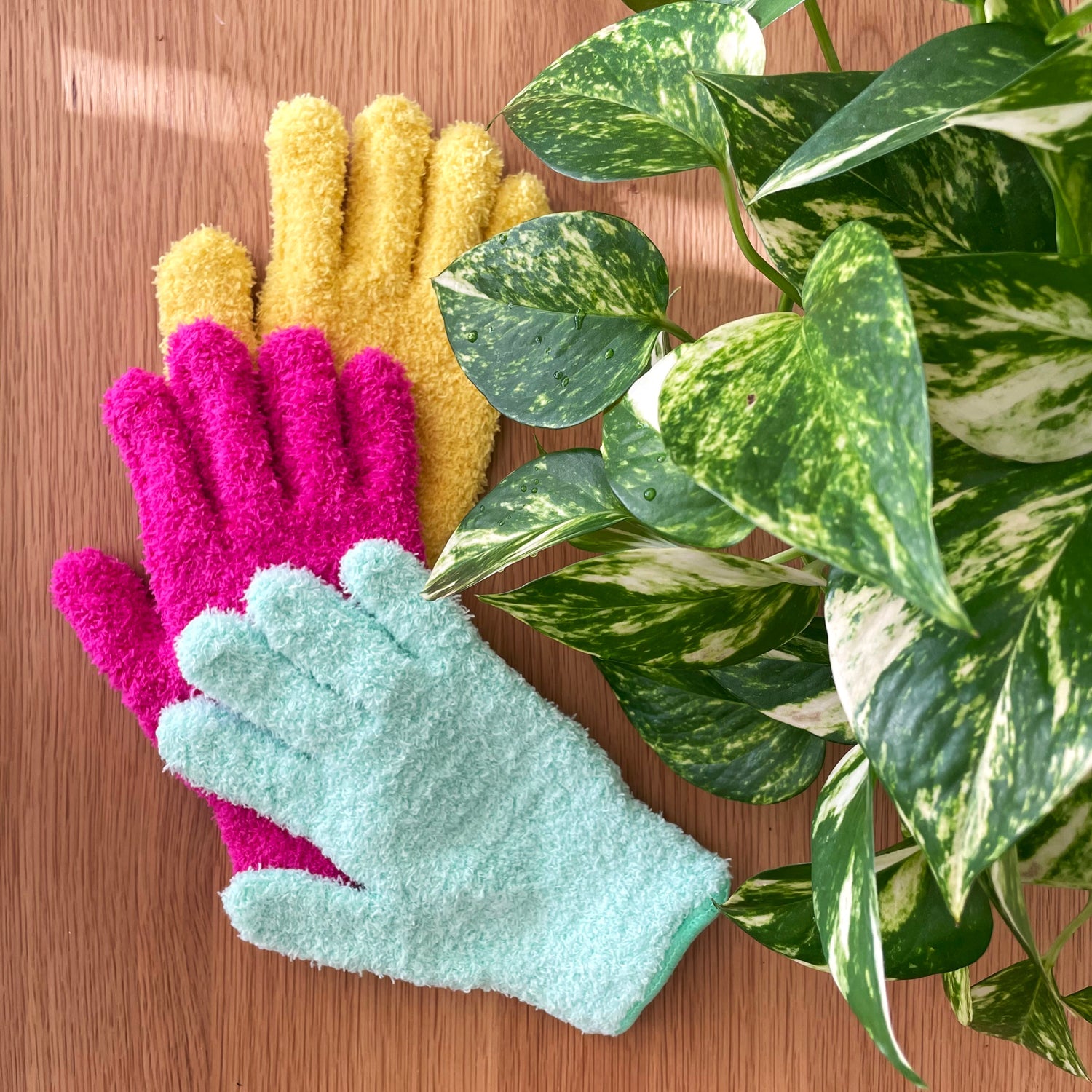 Crew Leaf Cleaning Glove - PINK – lovethatleaf