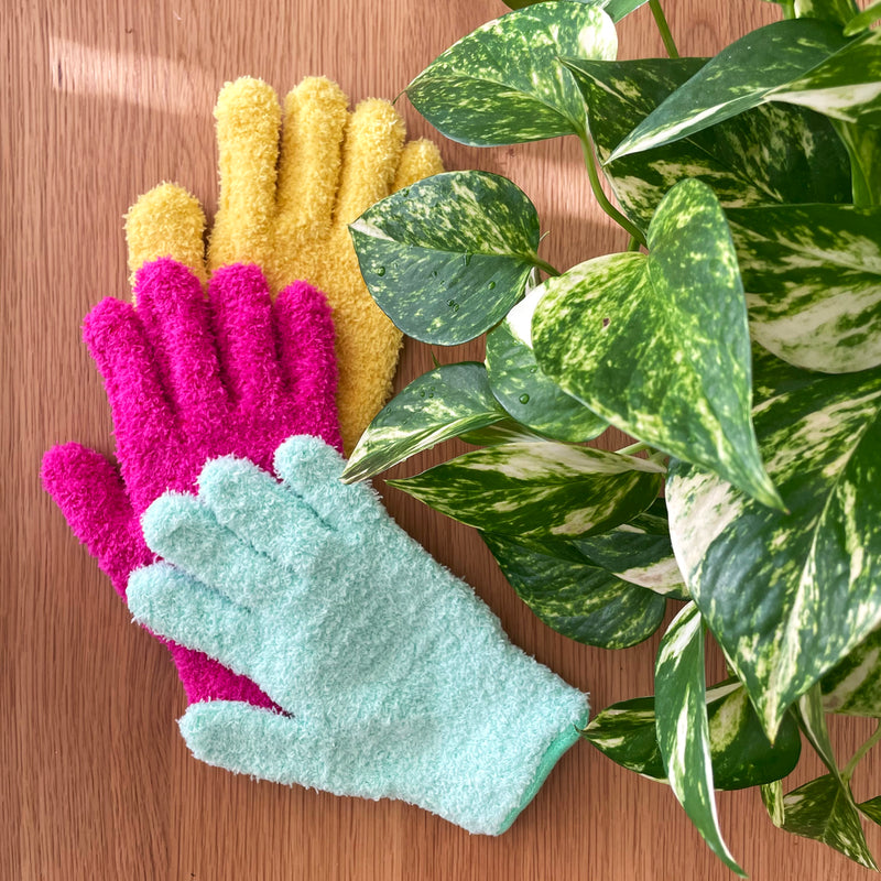 Crew Leaf Cleaning Glove - AQUA (from $4 each) – lovethatleaf