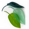 Leaf Watering Funnel - GREEN
