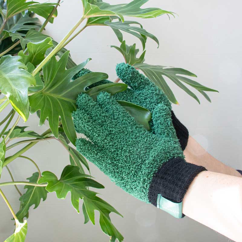 Plant Runner Gift Pack (3 products)