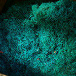 Elho Ocean Collection - 100% Recycled - Pacific Green - 16cm