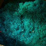 Elho Ocean Collection - 100% Recycled - Atlantic Blue - 22cm