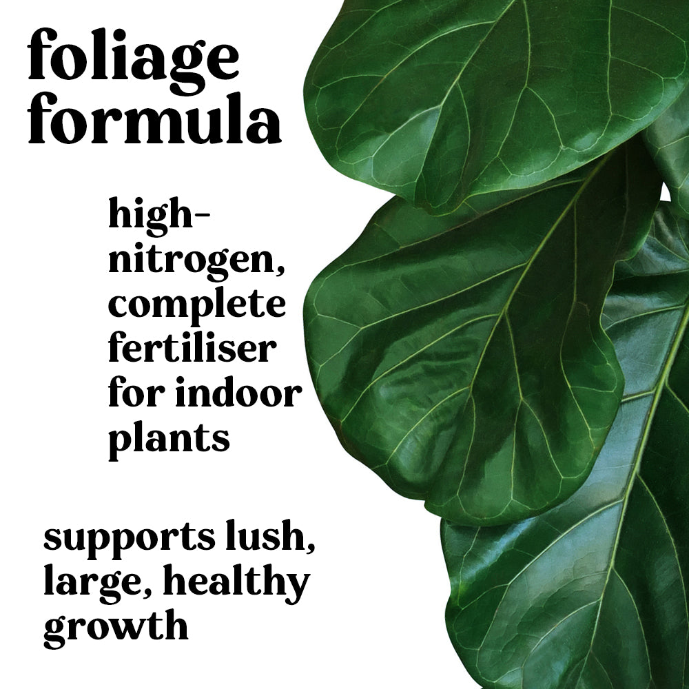 plant-runner-fertiliser-for-houseplants-foliage-formula-leaf-growh