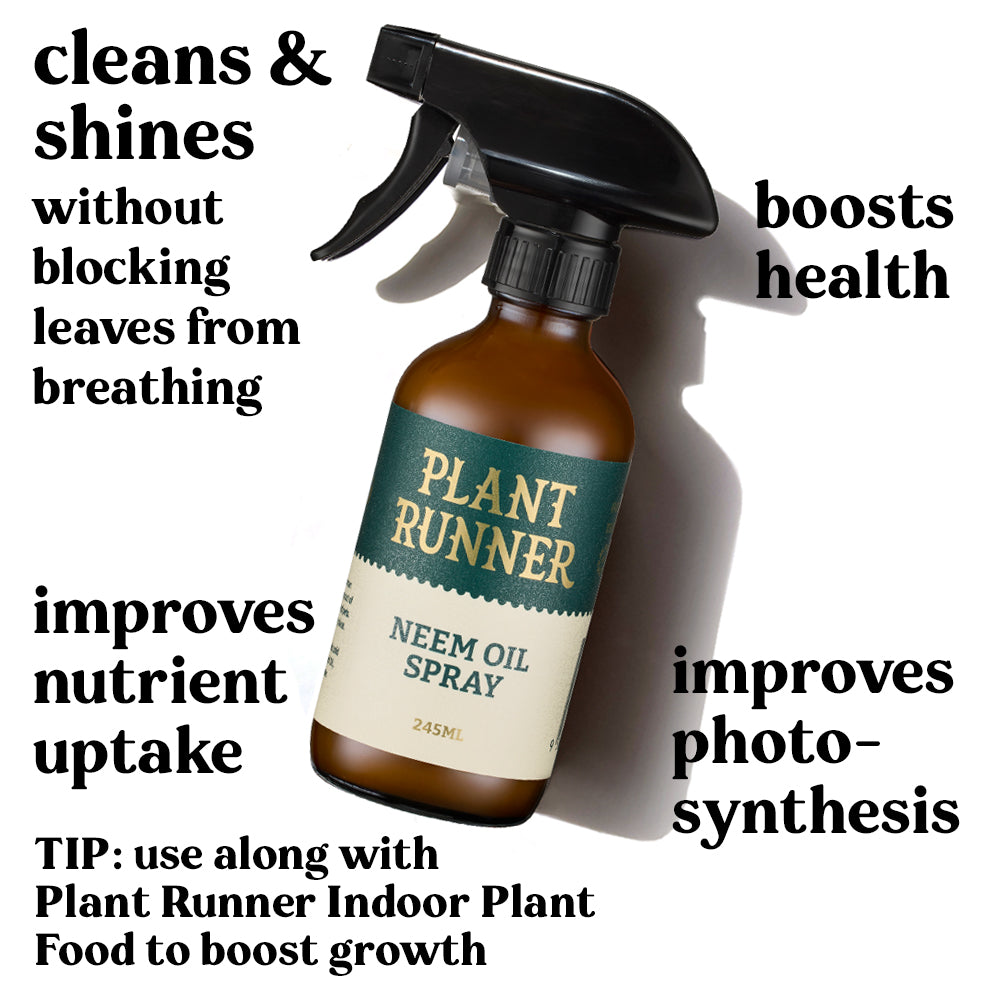 plant-runner-neem-oil-leaf-shine-benefits-houseplants