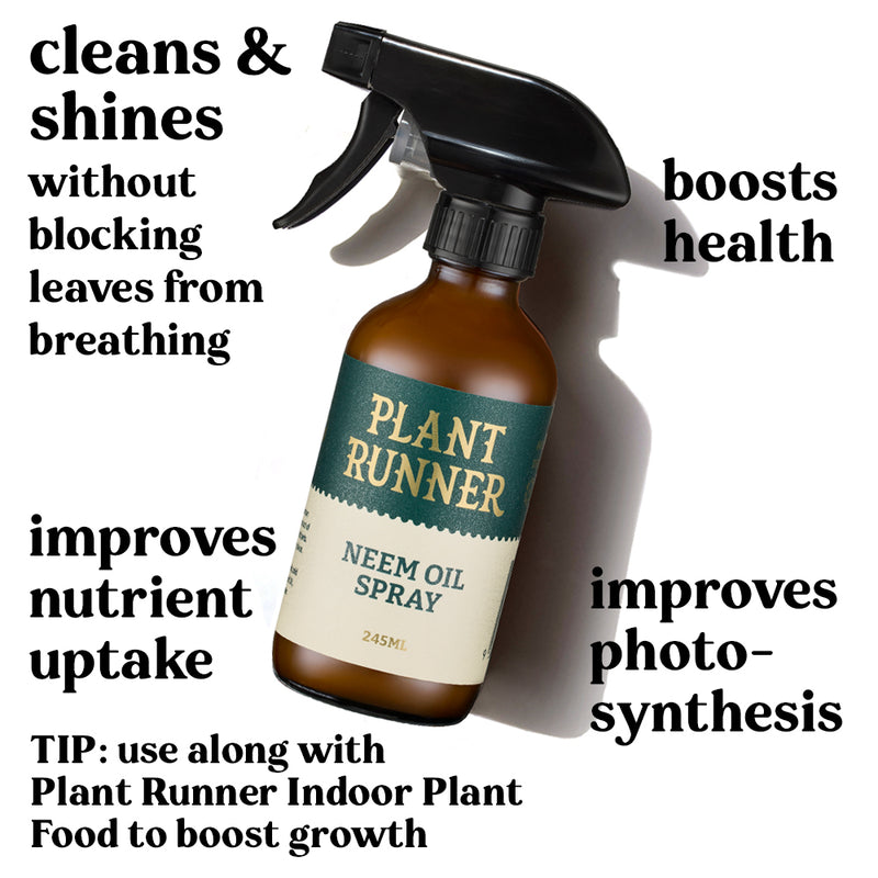 plant-runner-neem-oil-leaf-shine-benefits-houseplants