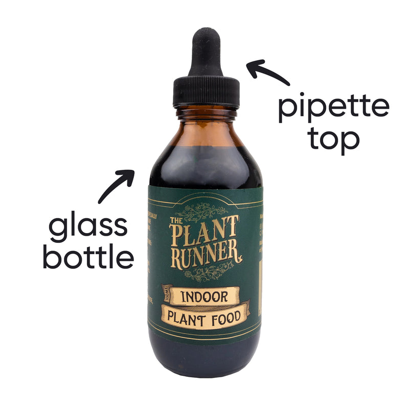 indoor-plant-food-plant-runner-glass