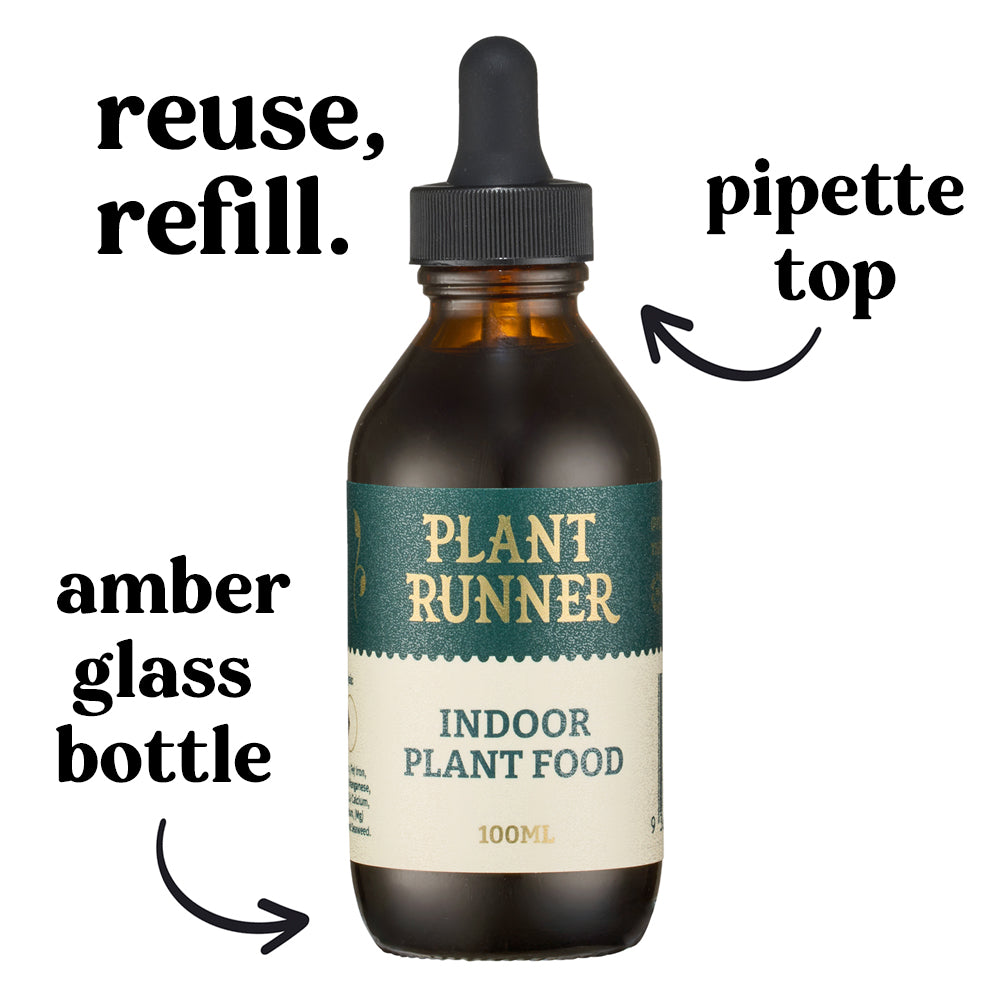 bottle-plant-runner-indoor-plant-food-houseplant-fertliser-amber-glass-bottle-pipette-top