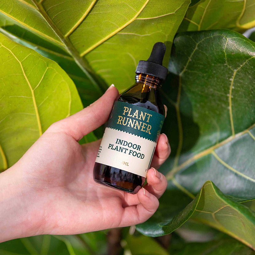 new-plant-runner-indoor-plant-food-houseplant-fertiliser-100ml-hand