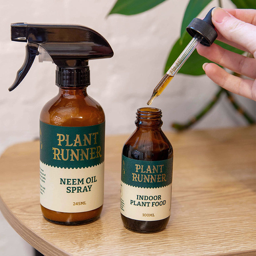 the plant runner indoor plant food Plant Runner Indoor Plant Food 100ml – lovethatleaf