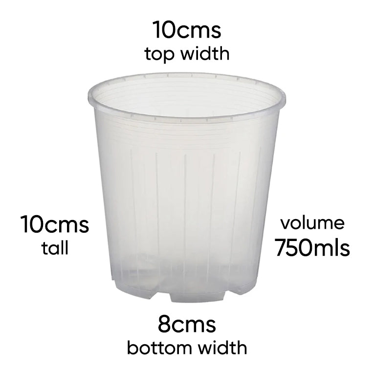 rain-10-clear-plant-nursery-pot-sizes