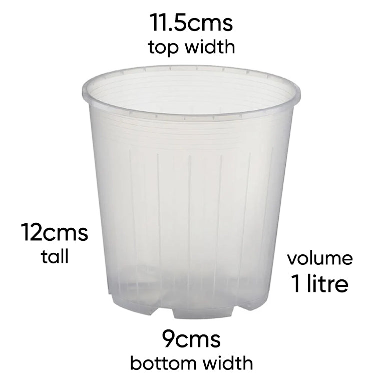 rain-12-clear-nursery-pot-size