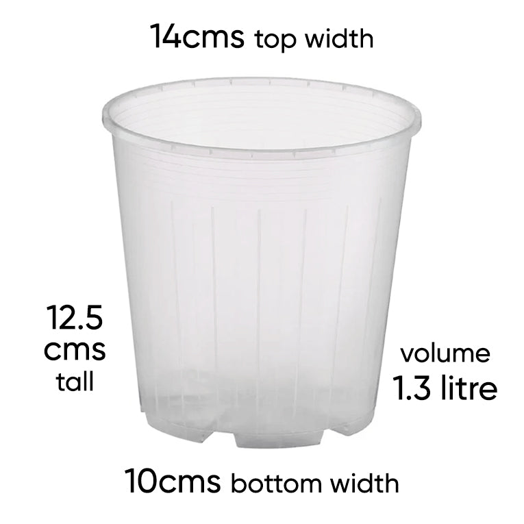 14cm plant pot Rain 14 Clear Nursery Pot - 14cm x 12.5cm - 1.3L