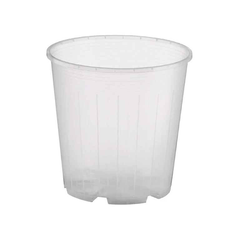 rain-14-clear-plant-pot-nursery