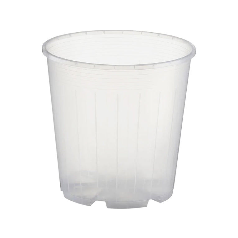 Rain 15 Clear Nursery Pot - 15cm x 14.5cm - 2L - from 77c each