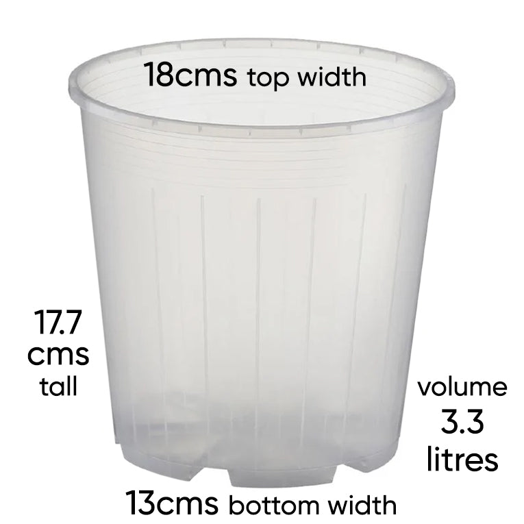 18 litre plant pot dimensions Rain 18 Clear Nursery Pot - 18cm x 18cm - 3.3L