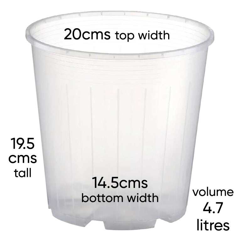 rain-20cm-clear-nursery-pot