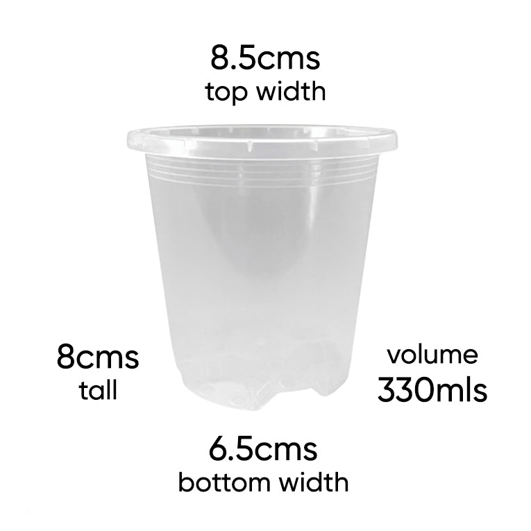 rain-8-clear-plant-nursery-pot-size