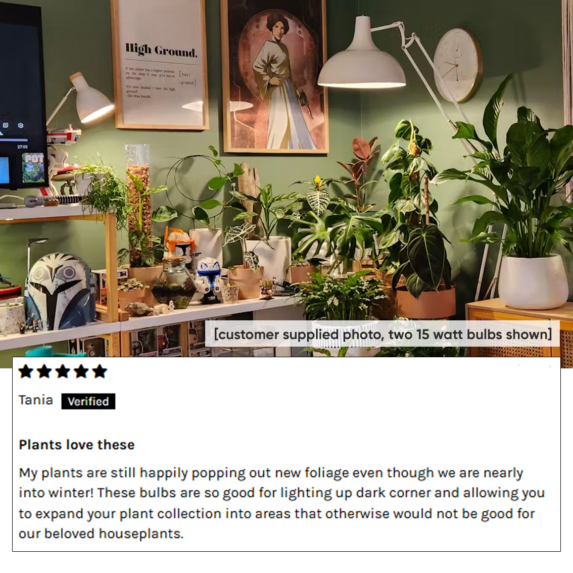 indoor-plants-grow-light-setup-sansi-15-watt-lamps