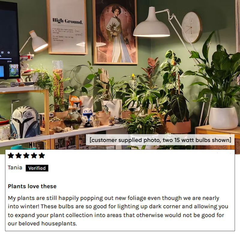indoor-plants-grow-light-setup-sansi-15-watt-lamps