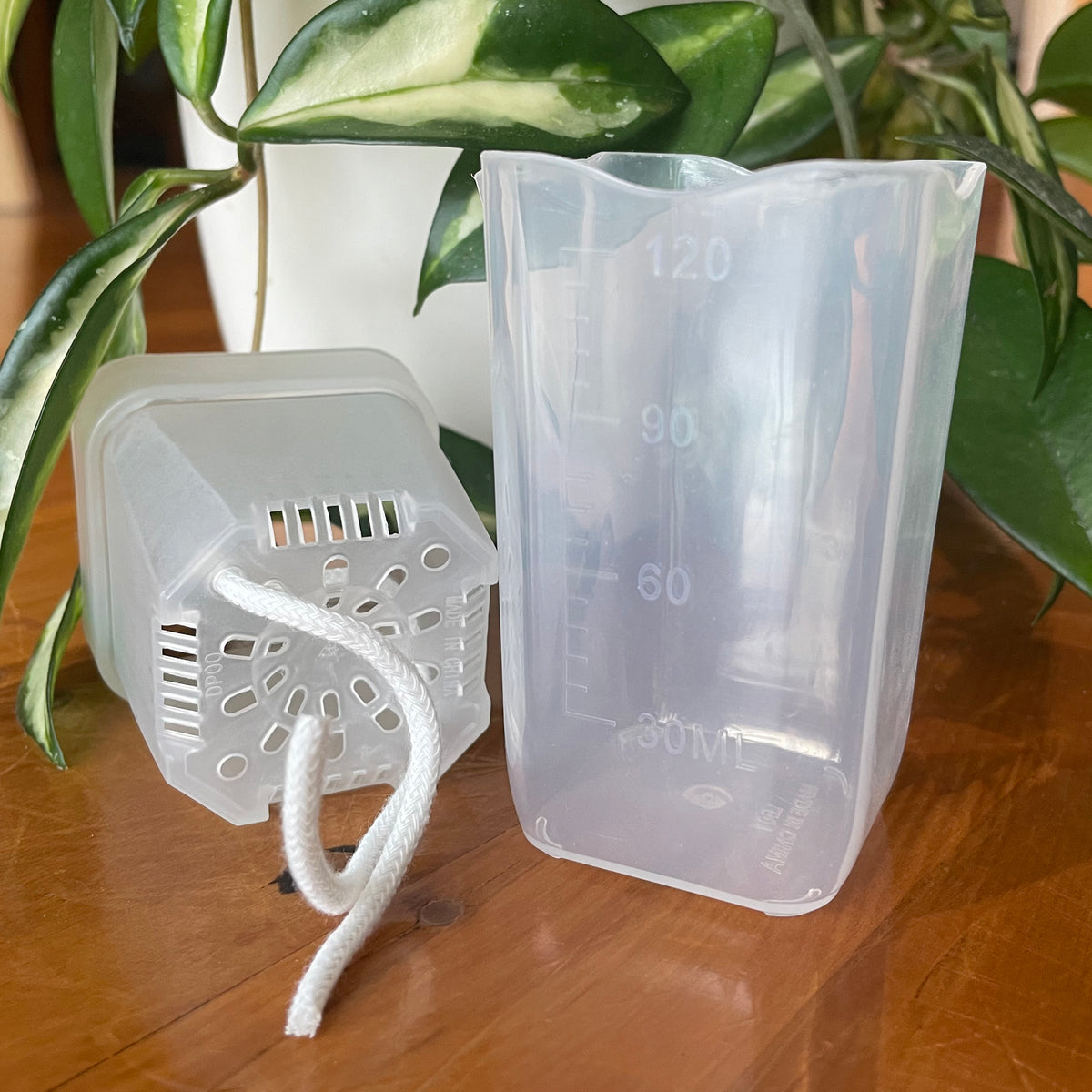 clear self watering pot mini size