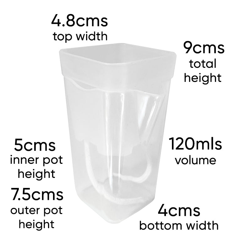 small-self-watering-pot-clear-mini-wick-indoor-house-plants-alocasia-corms