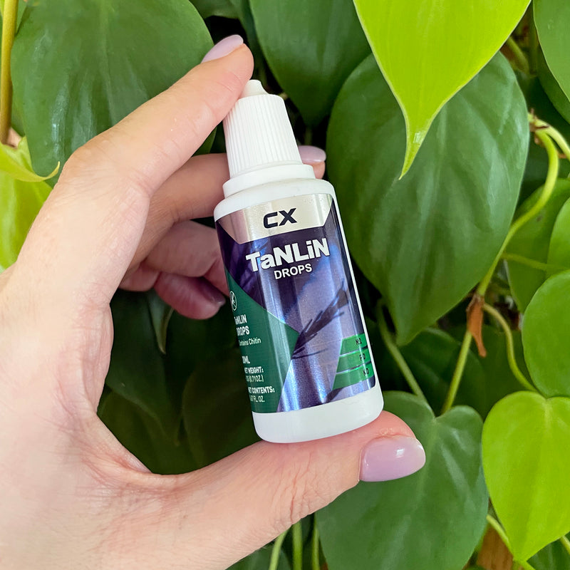 CX Tanlin Drops - Fungus Gnat Treatment and Prevention - 20ml - Makes ...