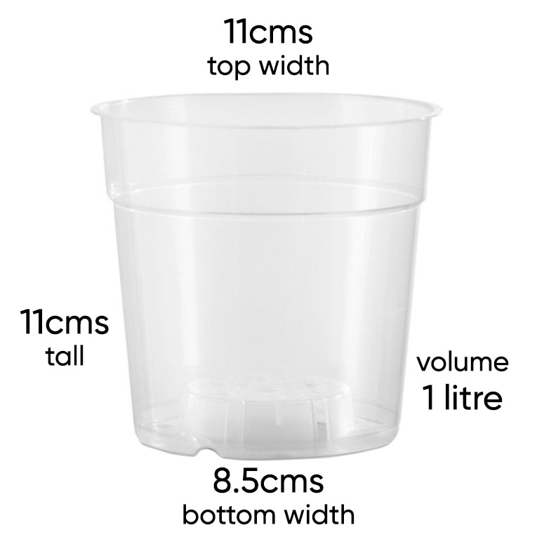 teku-clear-pot-11cm-size
