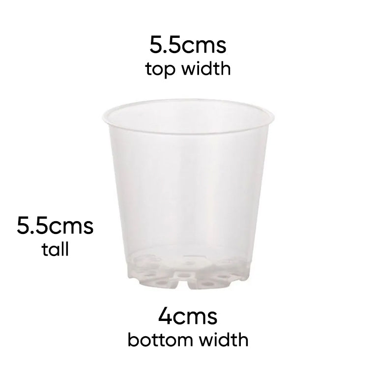 teku-mini-clear-nursery-pot-size