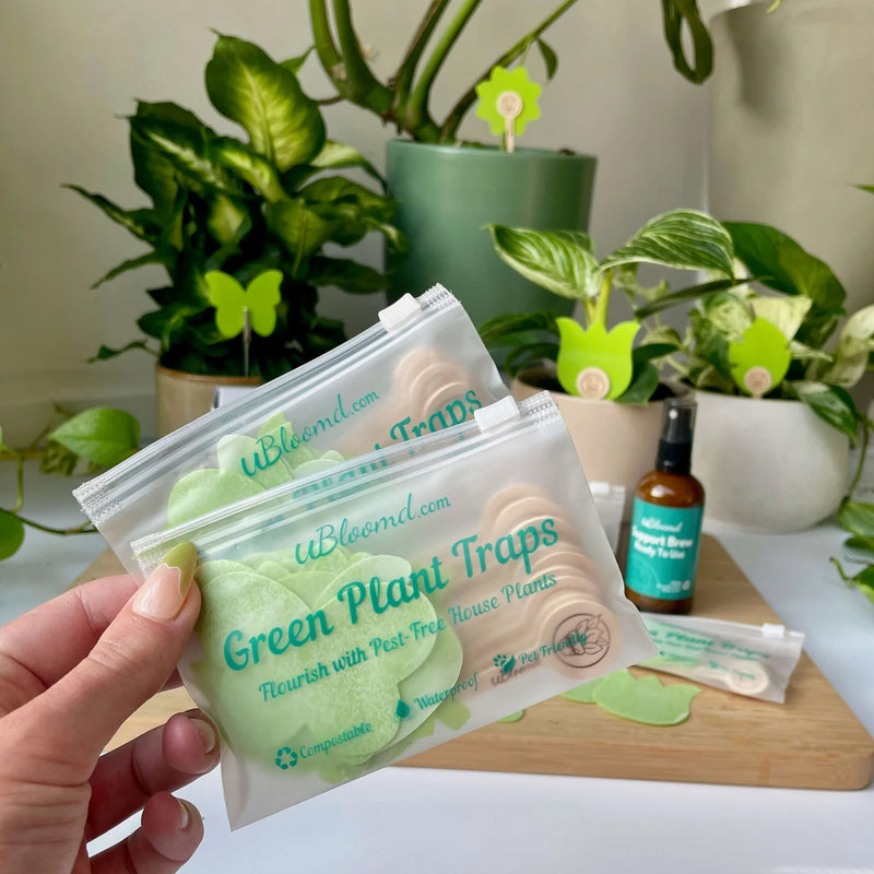 uBloomd Green Sticky Traps NATURE COLLECTION 10 Pack
