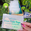 uBloomd Green Sticky Traps MONSTERA LEAF 10 Pack for flying pests