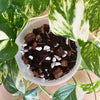 Wildvine Houseplant Blend - Custom Potting Mix - 6 litre