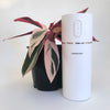H2O Mini Cordless Humidifier 200ml - Snow
