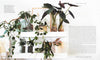 Book - The Leaf Supply Guide to Creating Your Indoor Jungle