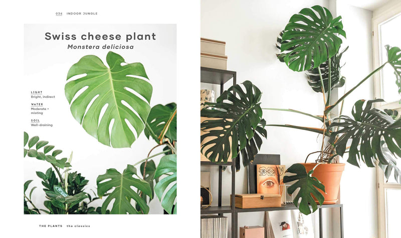 Book - The Leaf Supply Guide to Creating Your Indoor Jungle