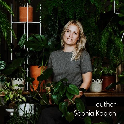 Leaf Supply author Sophia Kaplan