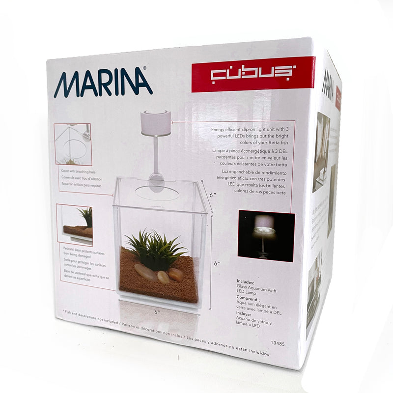 Cubus Terrarium Kit with Light